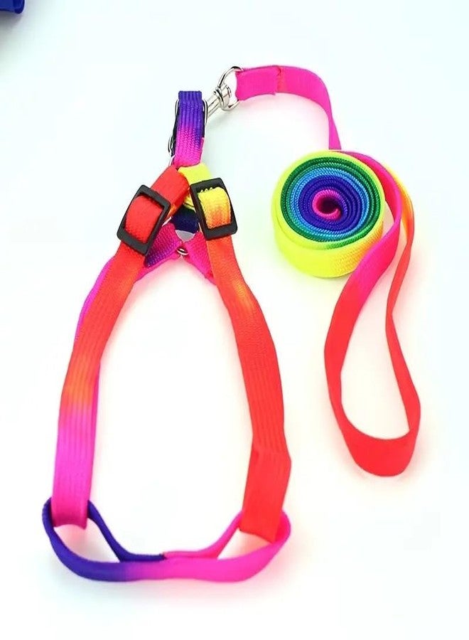 RoverPets Rainbow Design Harness and Leash Set for Small Dogs & Puppies - 15mm Adjustable Soft Strap Set for Mini Breeds - Comfortable & Lightweight Pet Walking Set - Image 2